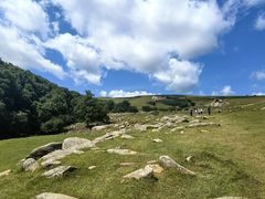 -克什克腾世界地质公园青山景区