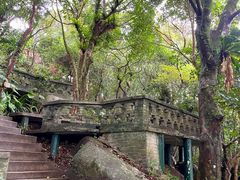 -海南铜鼓岭景区
