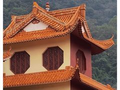 -深圳仙湖植物园