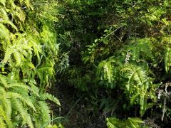 -艾溪湖湿地公园