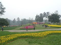 -保利石象湖景区