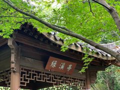 -杭州半山国家森林公园