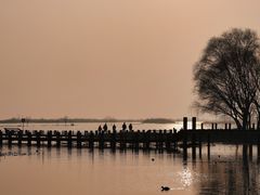 -苏州太湖湖滨国家湿地公园