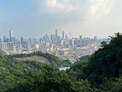 -南山植物园