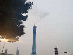 -小茶闲舍·观景商务茶馆(广州塔店)