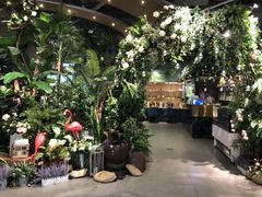 -Boboli Garden 波波里花园餐厅