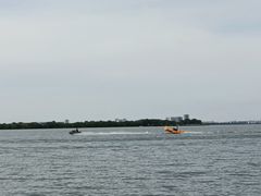 -瑶湖郊野森林公园