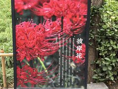 -西安大兴善寺