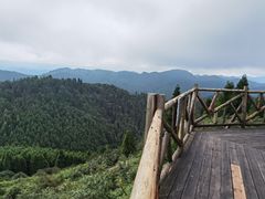 -武陵山森林公园