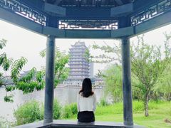-眉山湿地公园(东坡区)