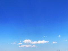 -猫米花园