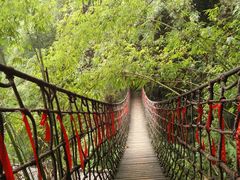 -阿依河景区