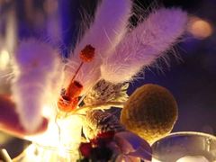 -奈雪的茶(国金中心店)