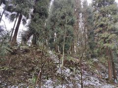 -太阳湾风景区