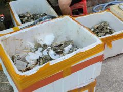 -蚝哥花姐湛江烤生蚝(美丽湾市场店)