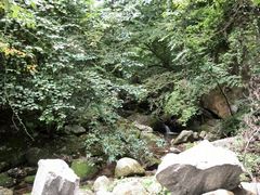 android_upload_pic-陕西省红河谷森林公园