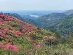 -木兰云雾山
