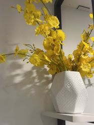 -熙朵美学植发连锁