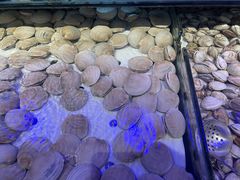 -千百叶海鲜自助餐厅(万达广场店)