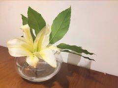-赤火牛排(金狮广场店)
