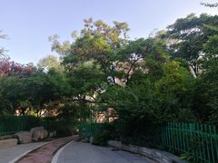 -双榆树公园