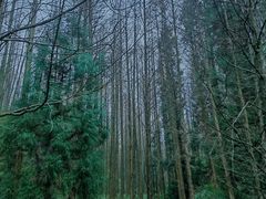 -山王坪喀斯特国家生态公园