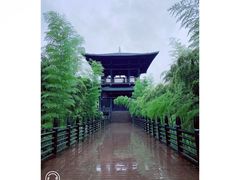 -大唐贡茶院