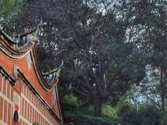 -晋江五店市传统文化旅游区