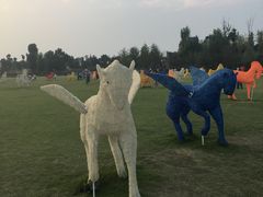 -秀丽东方