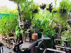 -自然餐厅(Phuket)