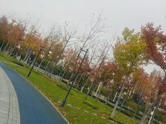 -杭州奥体中心-体育场