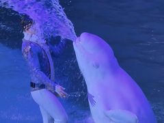 -大连圣亚海洋世界