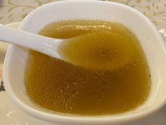 药膳乳鸽-百利鸽王(紫薇路店)