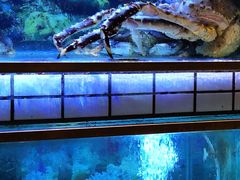 -迎悦轩(维景湾店)