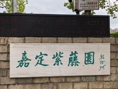 -嘉定紫藤园