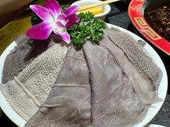-叉叉裤鲜火锅(空港新城店)