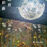 美的像花园的面馆—花开识面