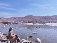 -新疆天山野生动物园