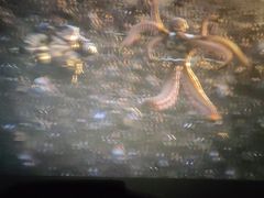 -北京英嘉国际影城(金源CINITY店)