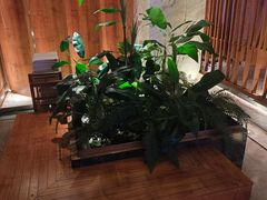 -浅深(北京北四环精品店)