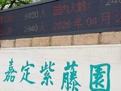 -嘉定紫藤园