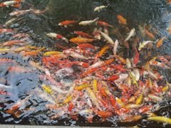 -番禺宾馆丽苑厅