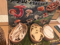 -季季山•云南野生菌火锅(上海首店)