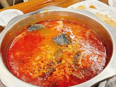 贵州酸汤鱼锅底-芦苇荡·酸汤鱼(回龙观店)