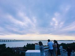 -宝安西湾红树林湿地公园