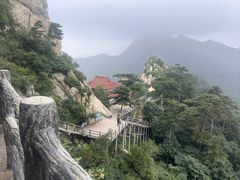 -大芦花风景区