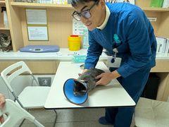-谐和贝康宠物医院24小时·宠保定点(急重症转诊中心)