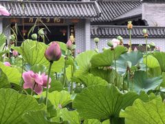-重庆园博园