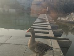 -河北霸州茗汤日月潭温泉