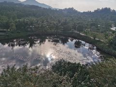-沙美村